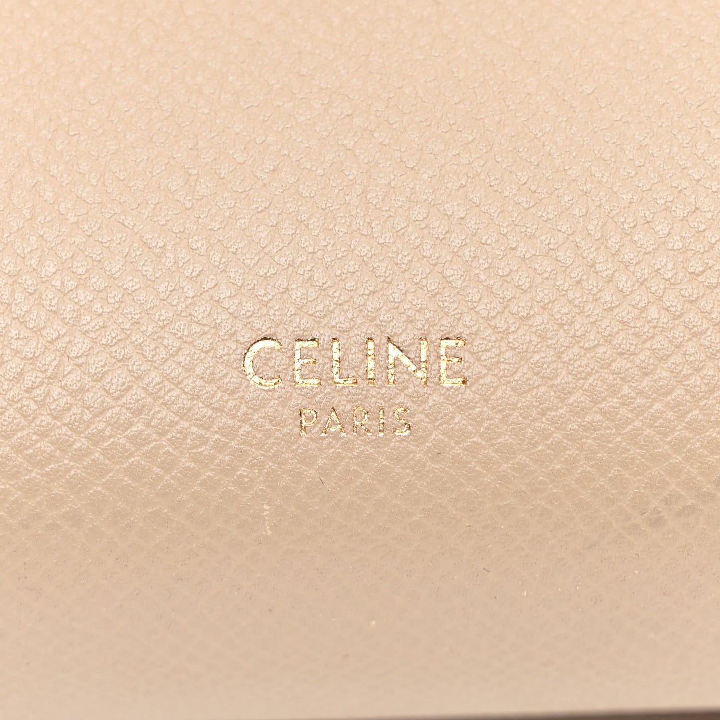 Grained Calfskin Nano Belt Bag Light Taupe