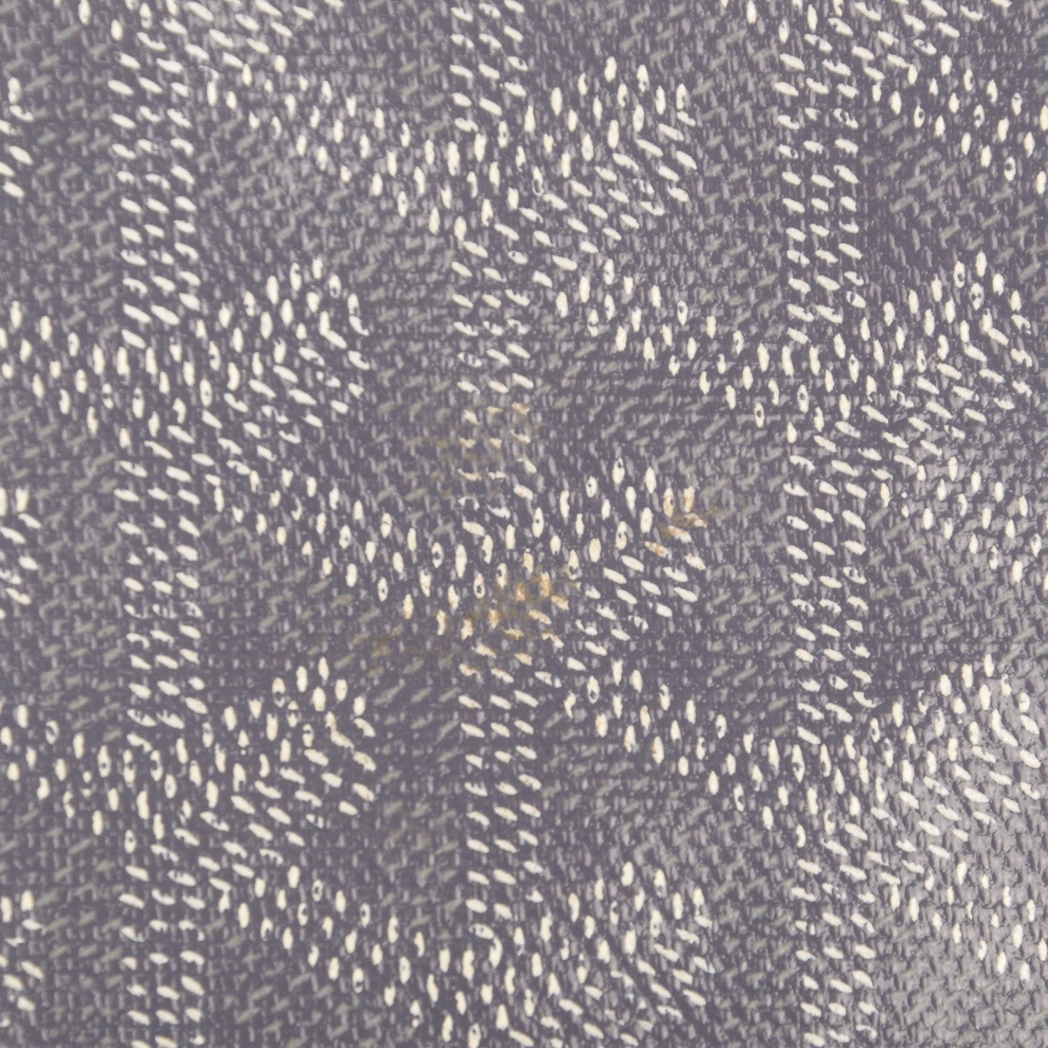 Goyard Goyardine Saint Louis PM Grey 12 of 12