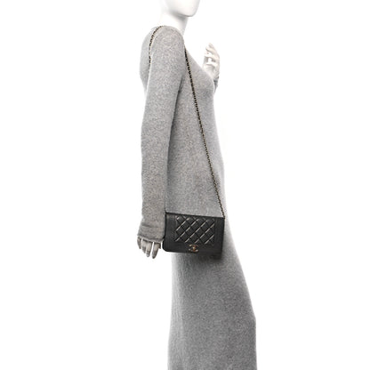 Chanel Sheepskin Quilted Mademoiselle Vintage Wallet On Chain WOC Ruthenium 2 of 12