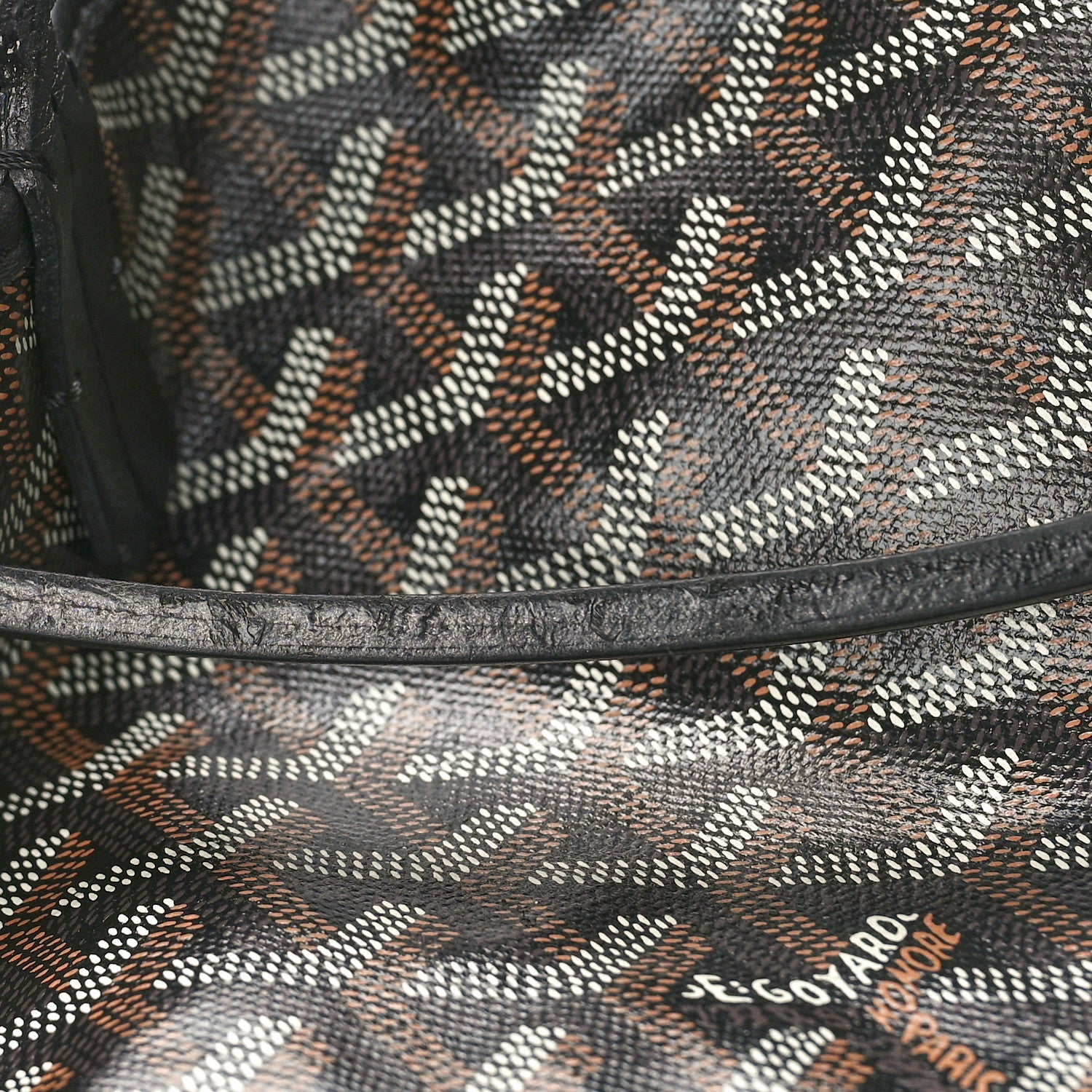 Goyard Goyardine Saint Louis PM Black 11 of 14