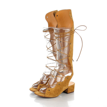 Saint Laurent Suede Babies Knee High Gladiator Sandals Tan 3 of 7