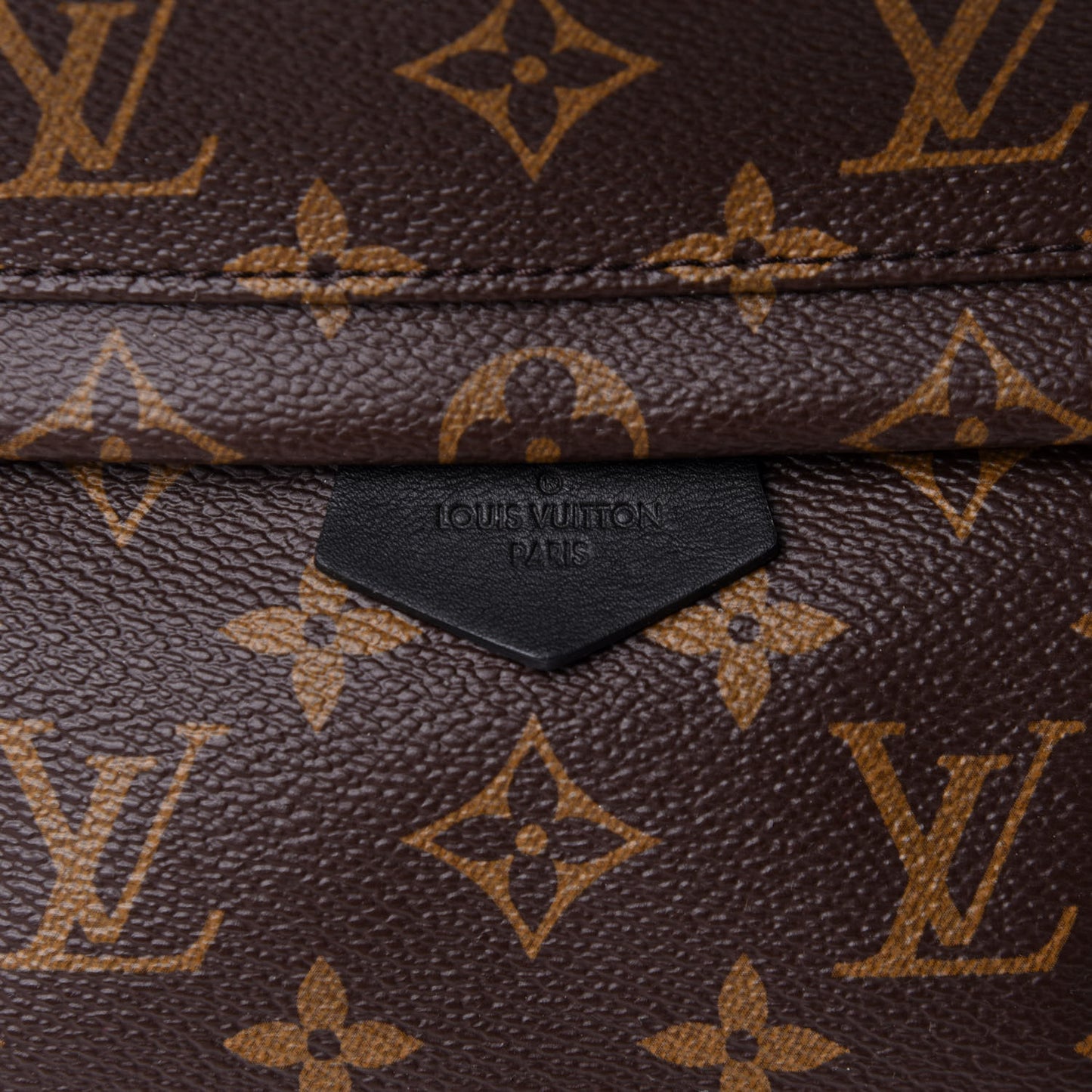 Monogram Palm Springs Backpack PM