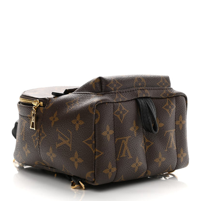 Louis Vuitton Monogram Palm Springs Backpack Mini 4 of 9