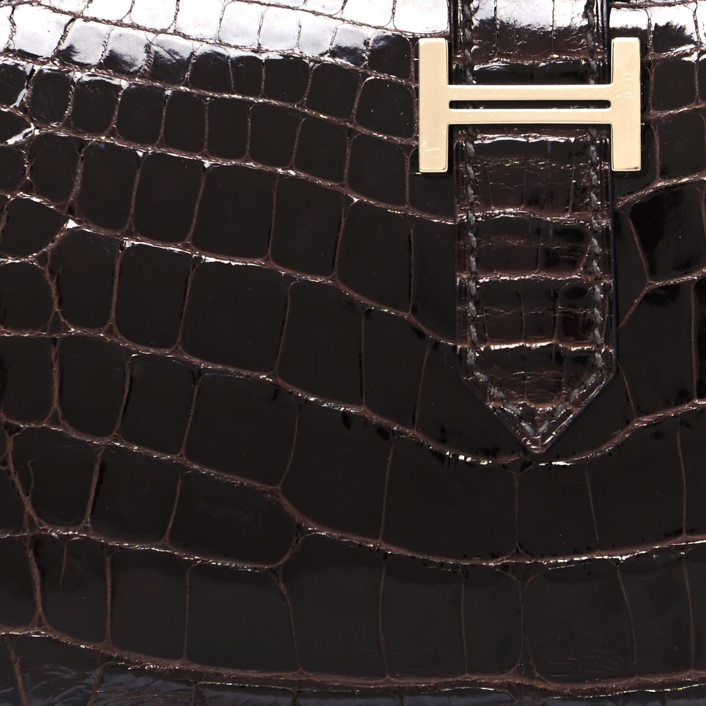 Shiny Niloticus Crocodile Bearn Wallet Macassar