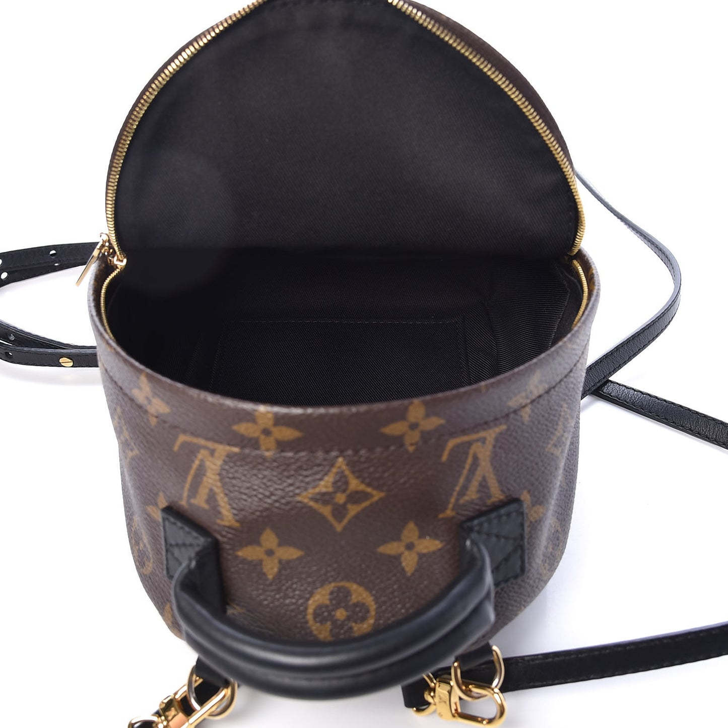 Monogram Palm Springs Backpack Mini