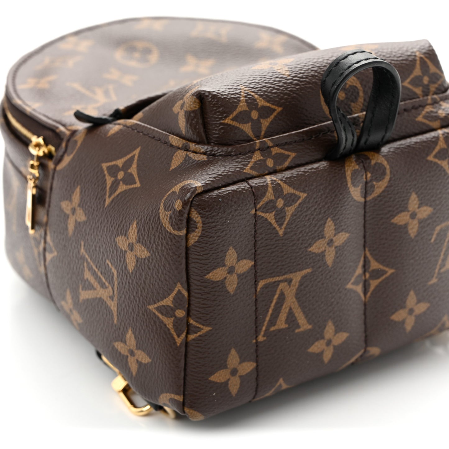 Monogram Palm Springs Backpack Mini