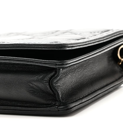 Christian Dior Lambskin Cannage Lady Dior Pouch Black 11 of 11