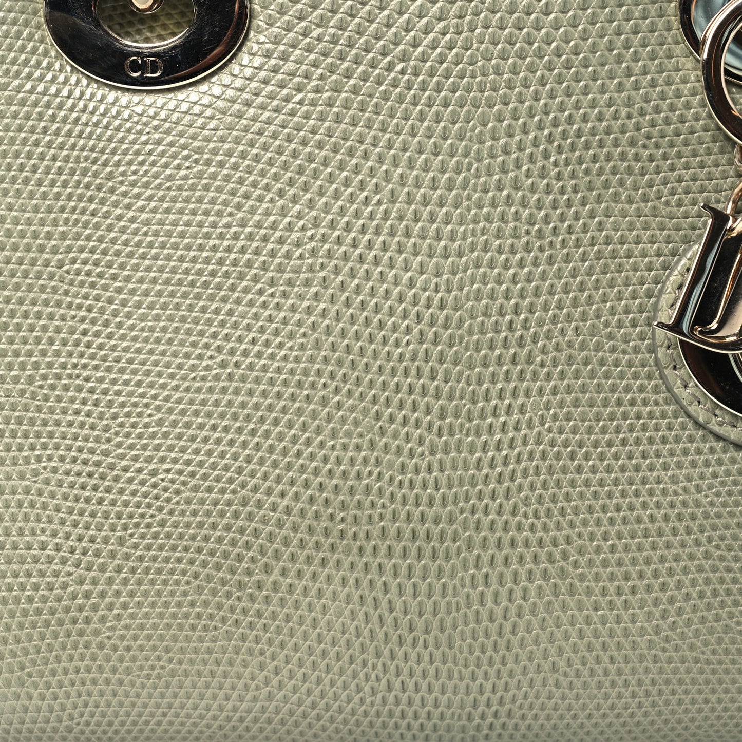 Lizard Mini Lady Dior  Vert Saule