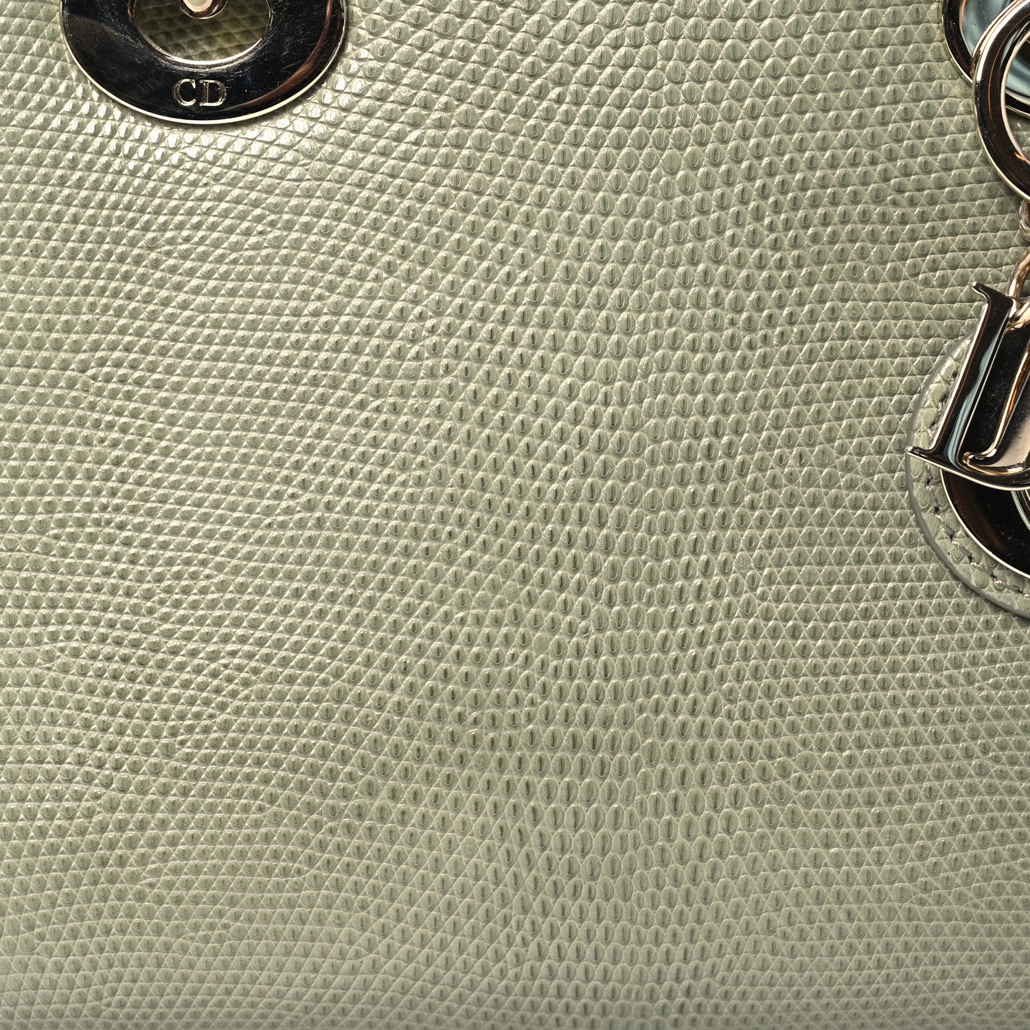 Christian Dior Lizard Mini Lady Dior  Vert Saule 8 of 16