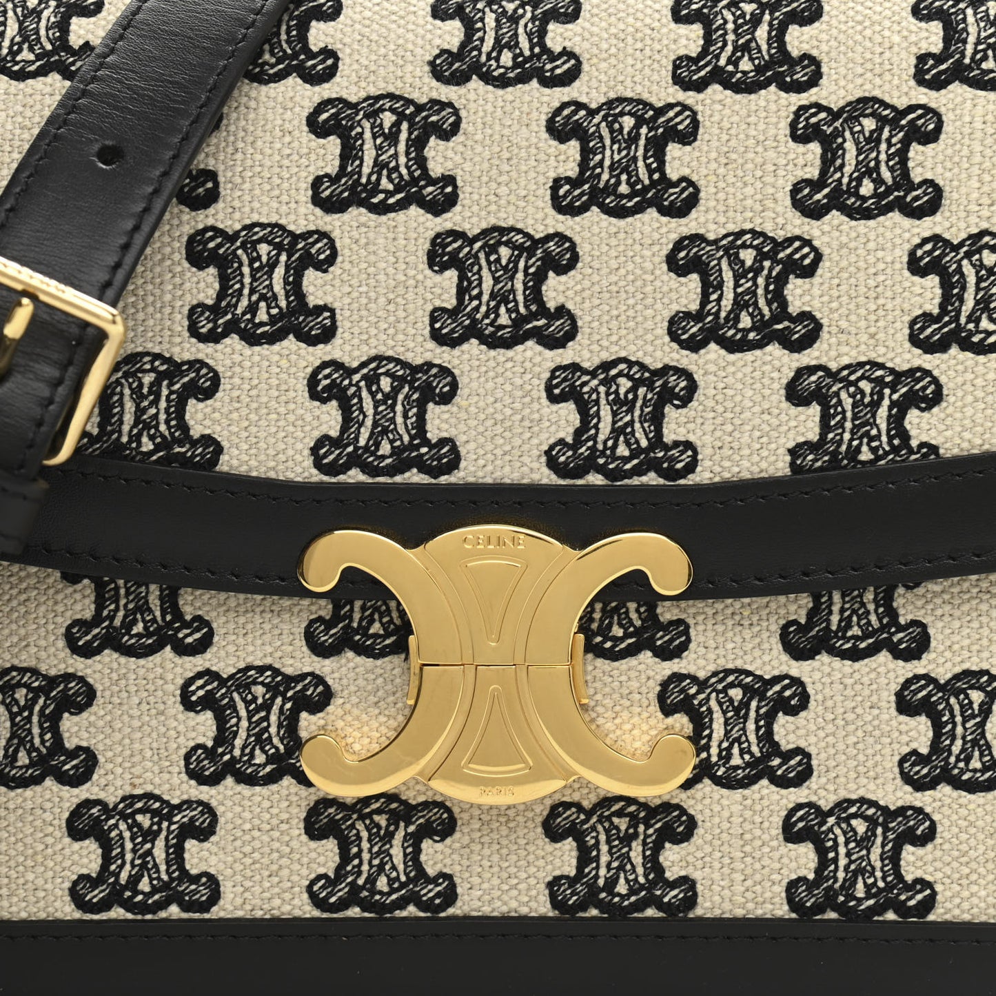 Canvas Calfskin Triomphe Embroidered Medium Triomphe Bag Black