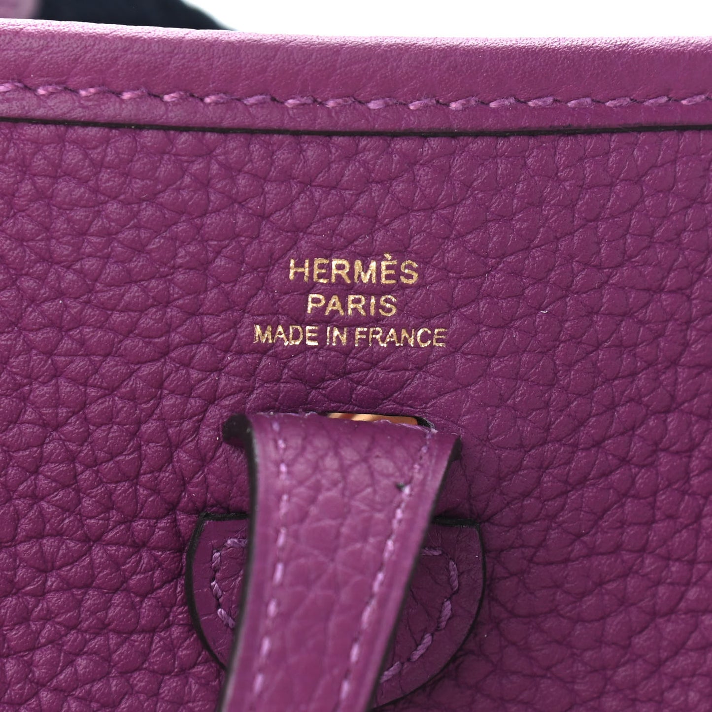 Taurillon Clemence Amazone Evelyne TPM Anemone Marine