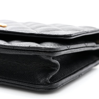 Chanel Caviar Quilted Camellia Wallet On Chain WOC Black 11 of 12