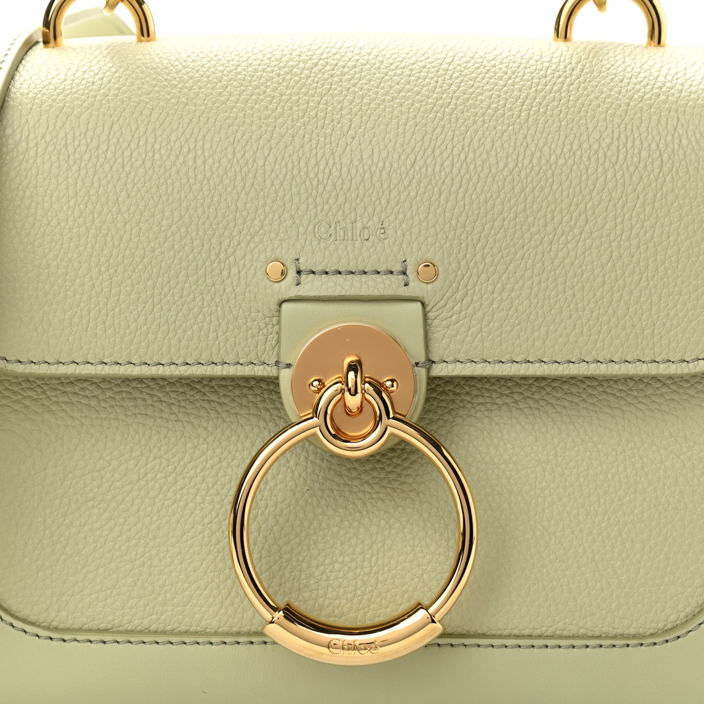 Calfskin Mini Tess Day Bag Light Eucalyptus