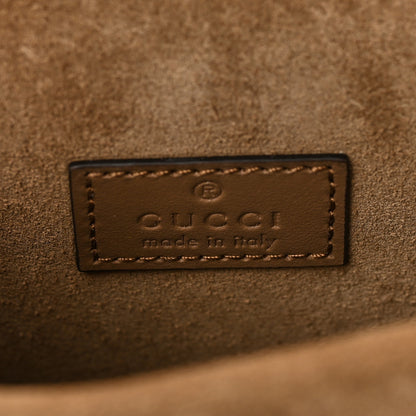 Gucci GG Supreme Monogram Mini Dionysus Top Handle Bag Taupe 6 of 8