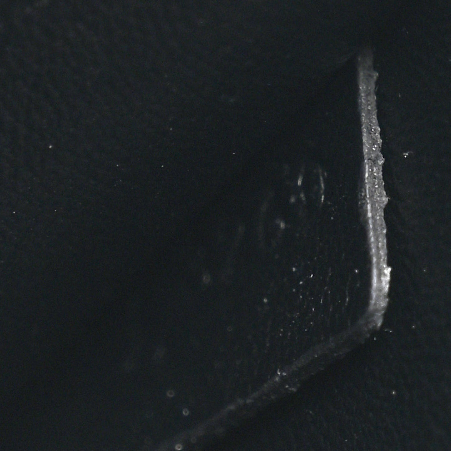 Shiny Calfskin Nano Triomphe Black