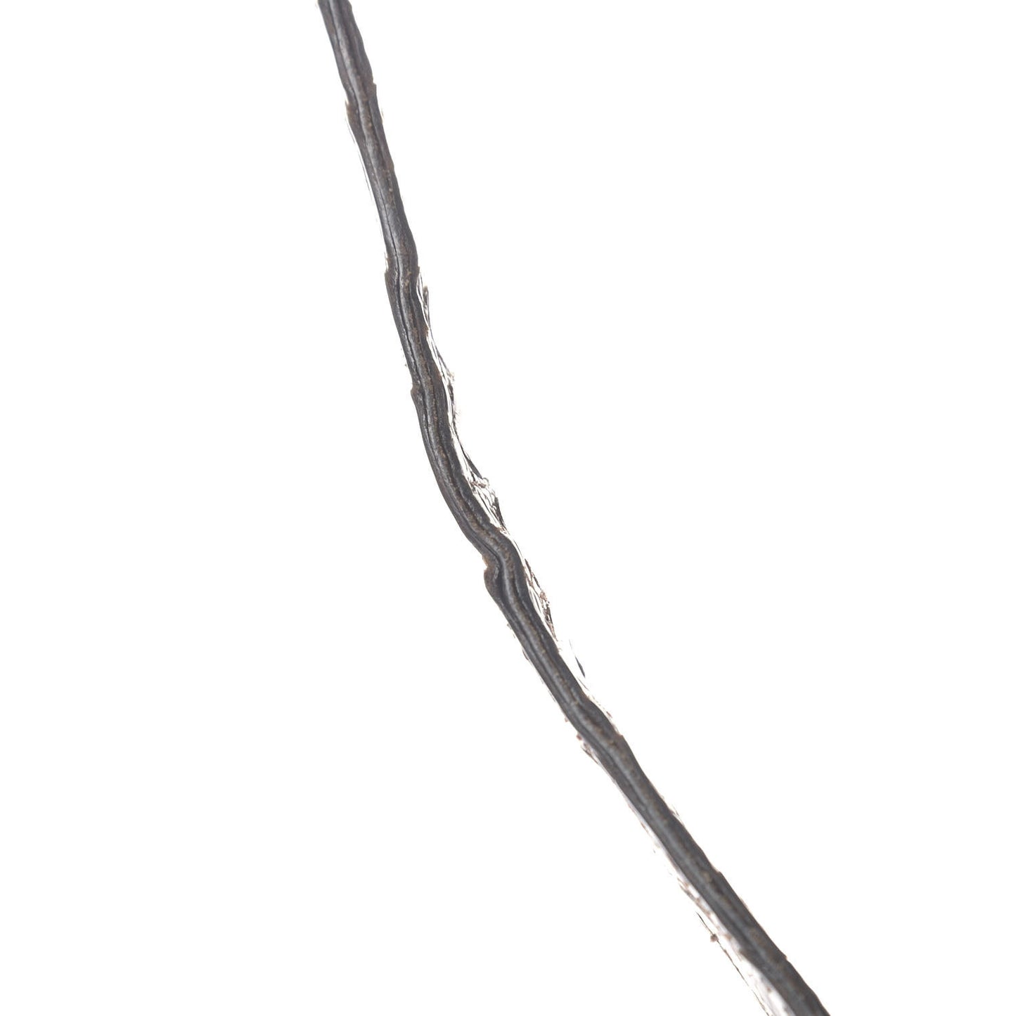 Shiny Porosus Crocodile Constance 23 Chocolate