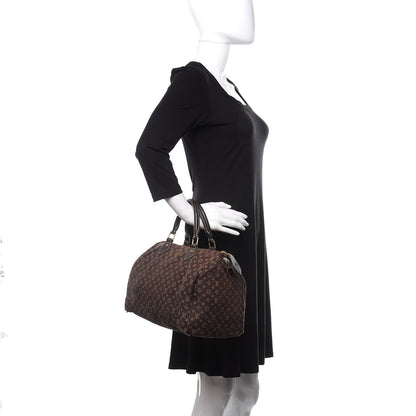 Louis Vuitton Mini Lin Speedy 30 Ebene 2 of 15