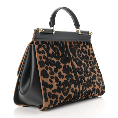 Dolce & Gabbana Velvet Leopard Print Miss Sicily Satchel Black 3 of 10