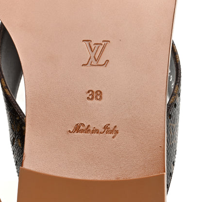 Louis Vuitton Monogram Sunny Flat Thong Sandals 38 Brown 6 of 7
