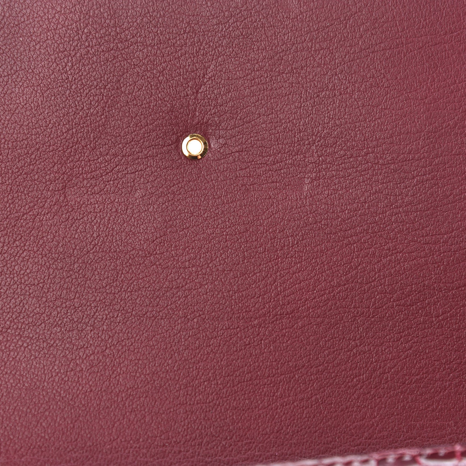 Louis Vuitton Alligator Chain Louise GM 917 9 of 10