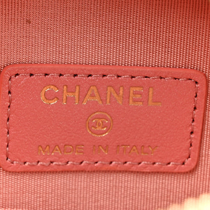 Chanel Iridescent Calfskin Quilted Chanel 19 Round Clutch With Chain Pink 6 of 11