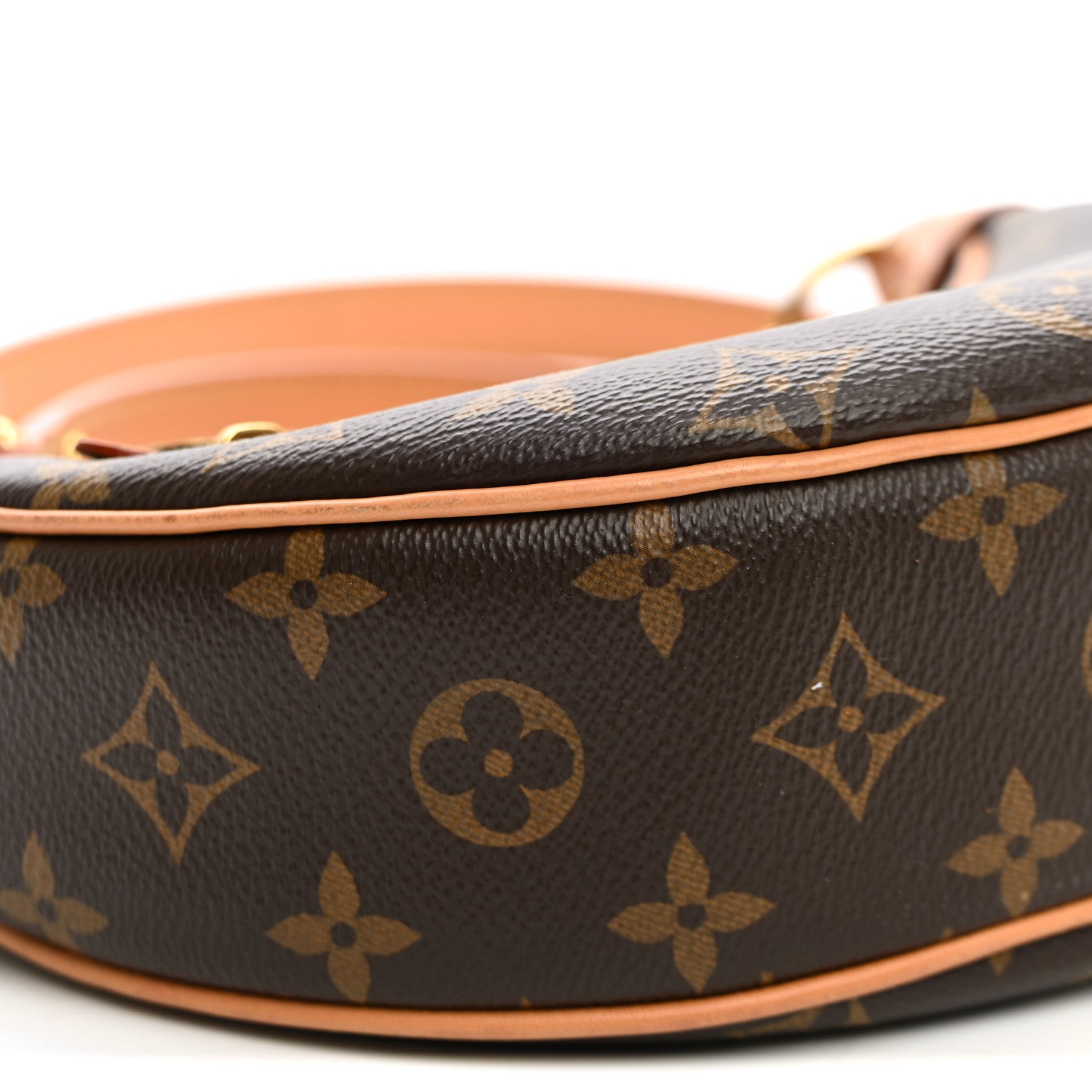 Louis Vuitton Monogram Loop 7 of 9