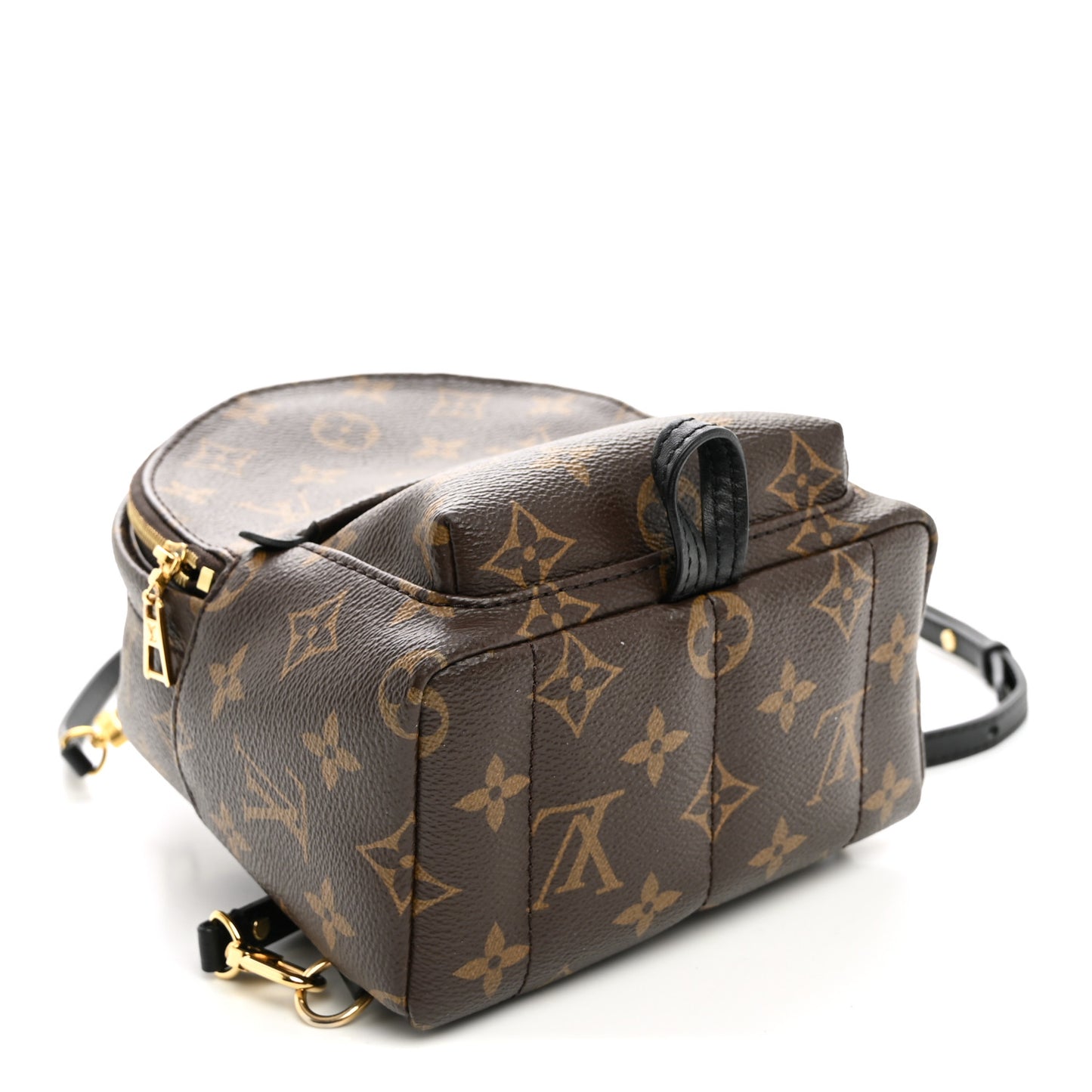 Monogram Palm Springs Backpack Mini
