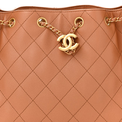 Chanel Caviar Quilted Small Chanel 25 Handbag Brown 8 of 11