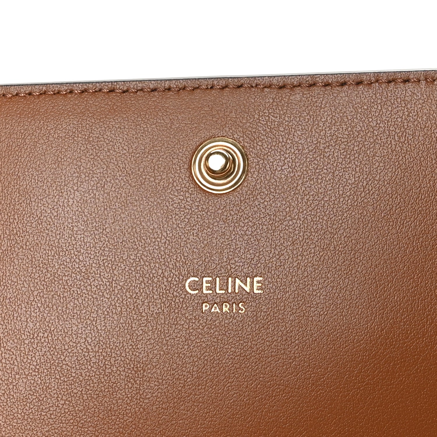 Celine Triomphe Canvas Multipochette Tan 5 of 9
