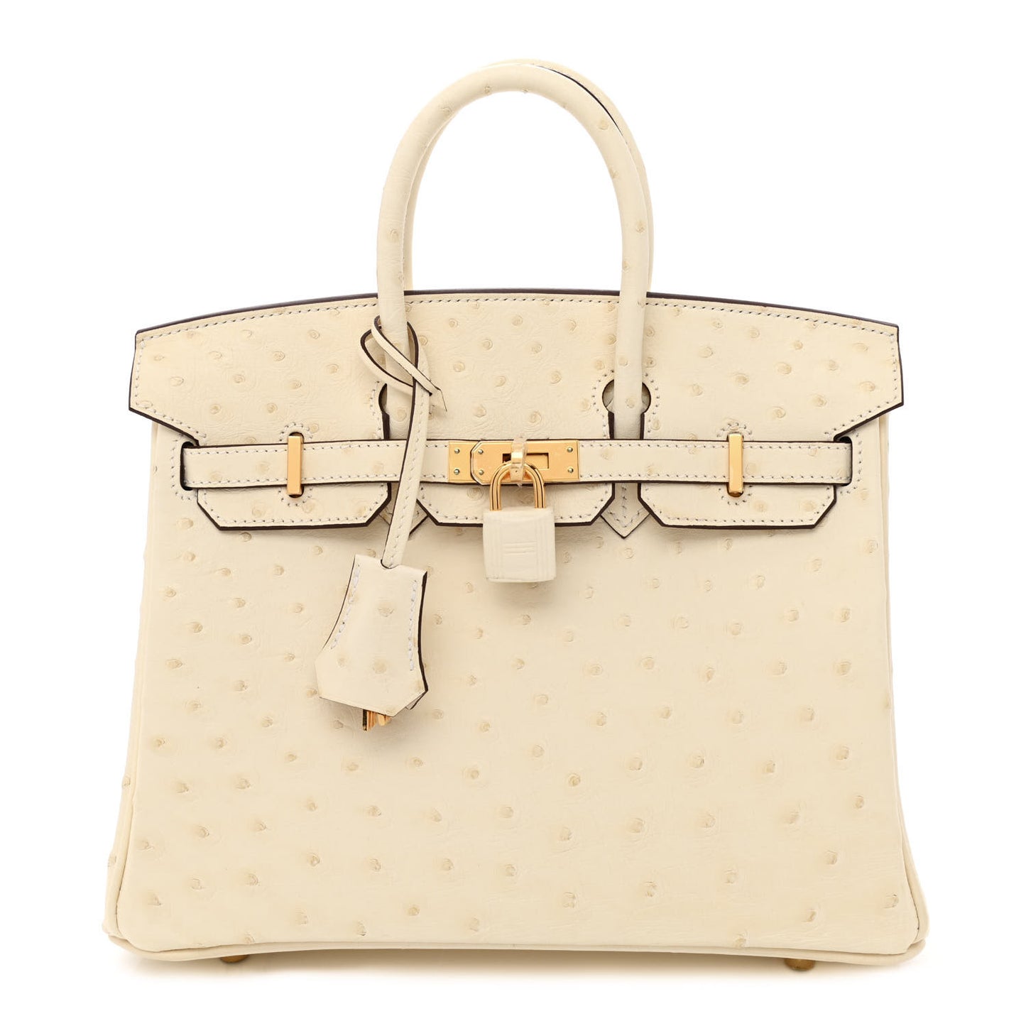 Ostrich Birkin 25 Nata
