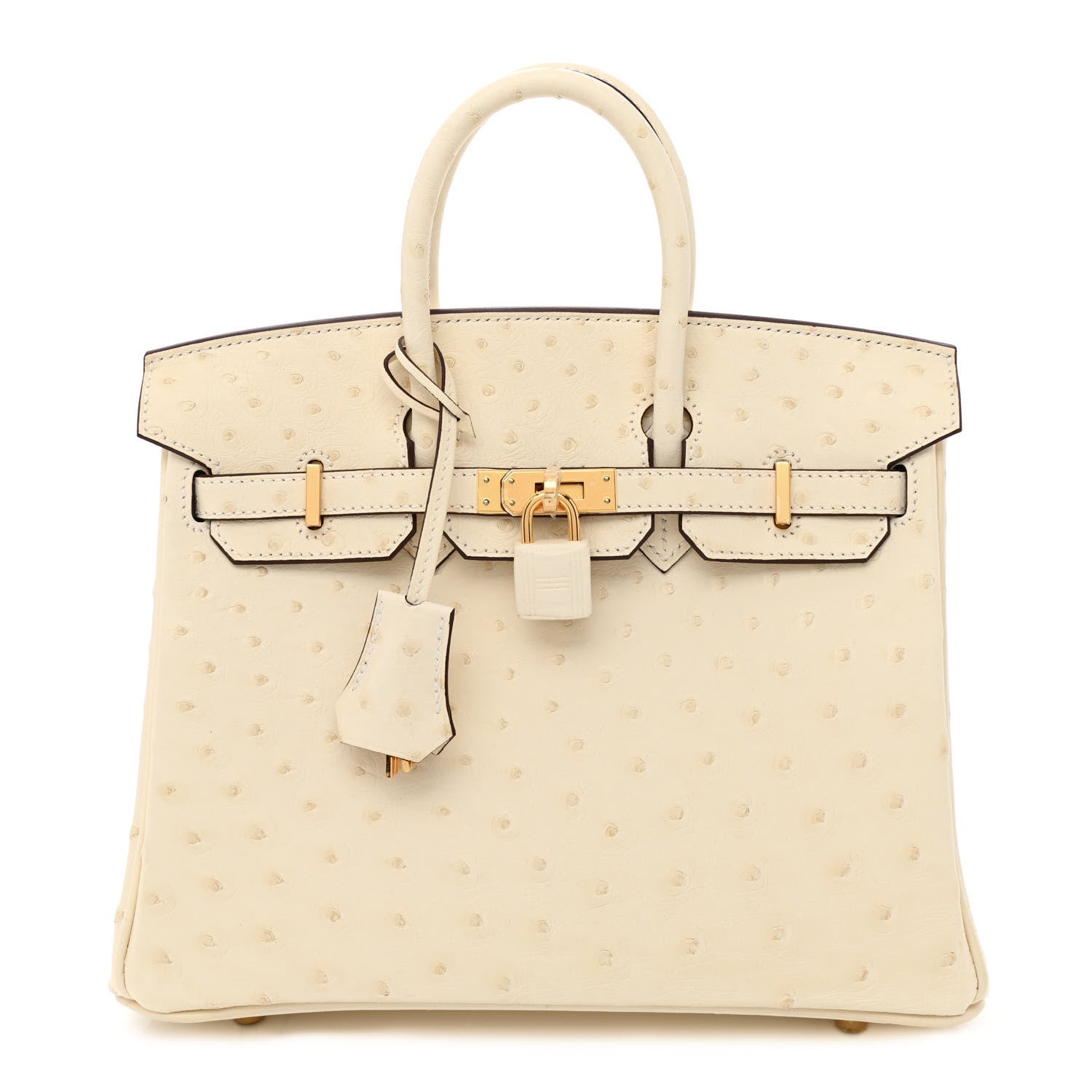 Hermes Ostrich Birkin 25 Nata 1 of 11
