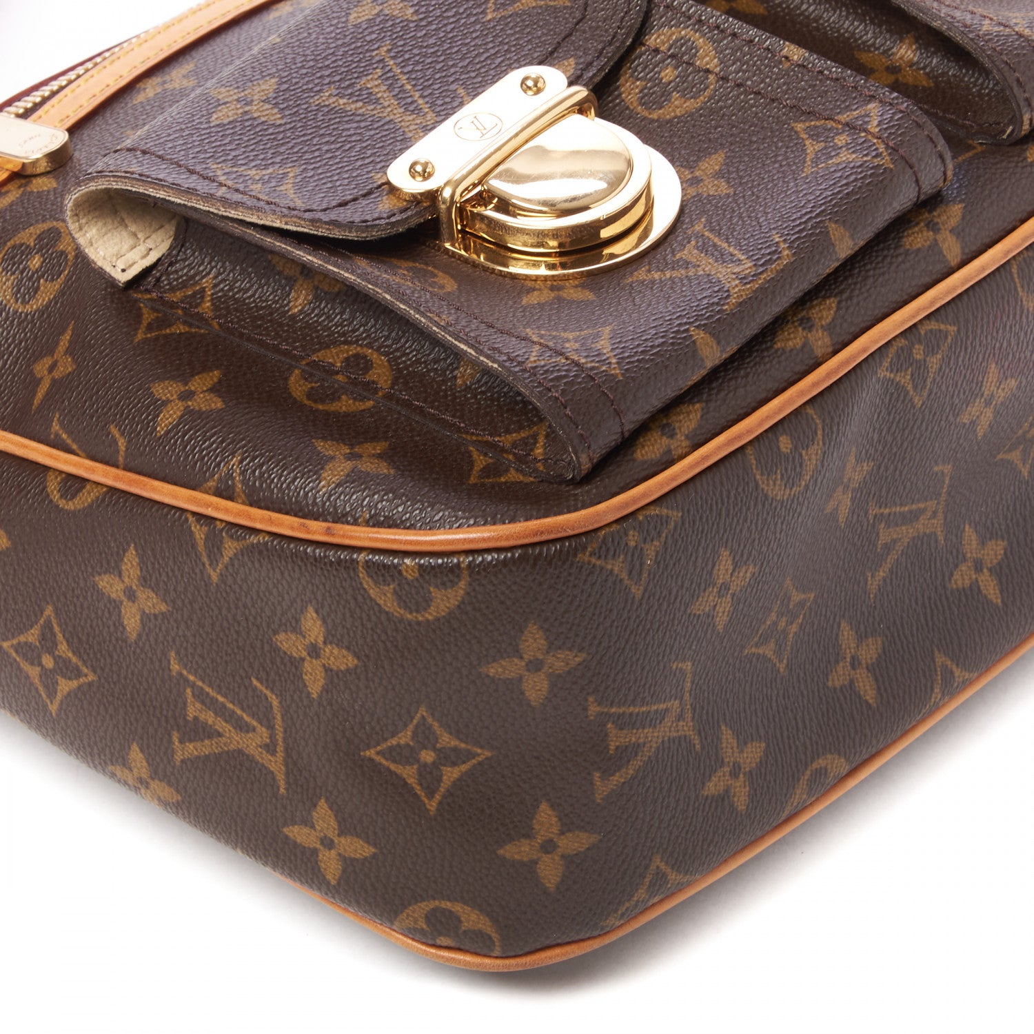 Louis Vuitton Monogram Hudson GM 6 of 8