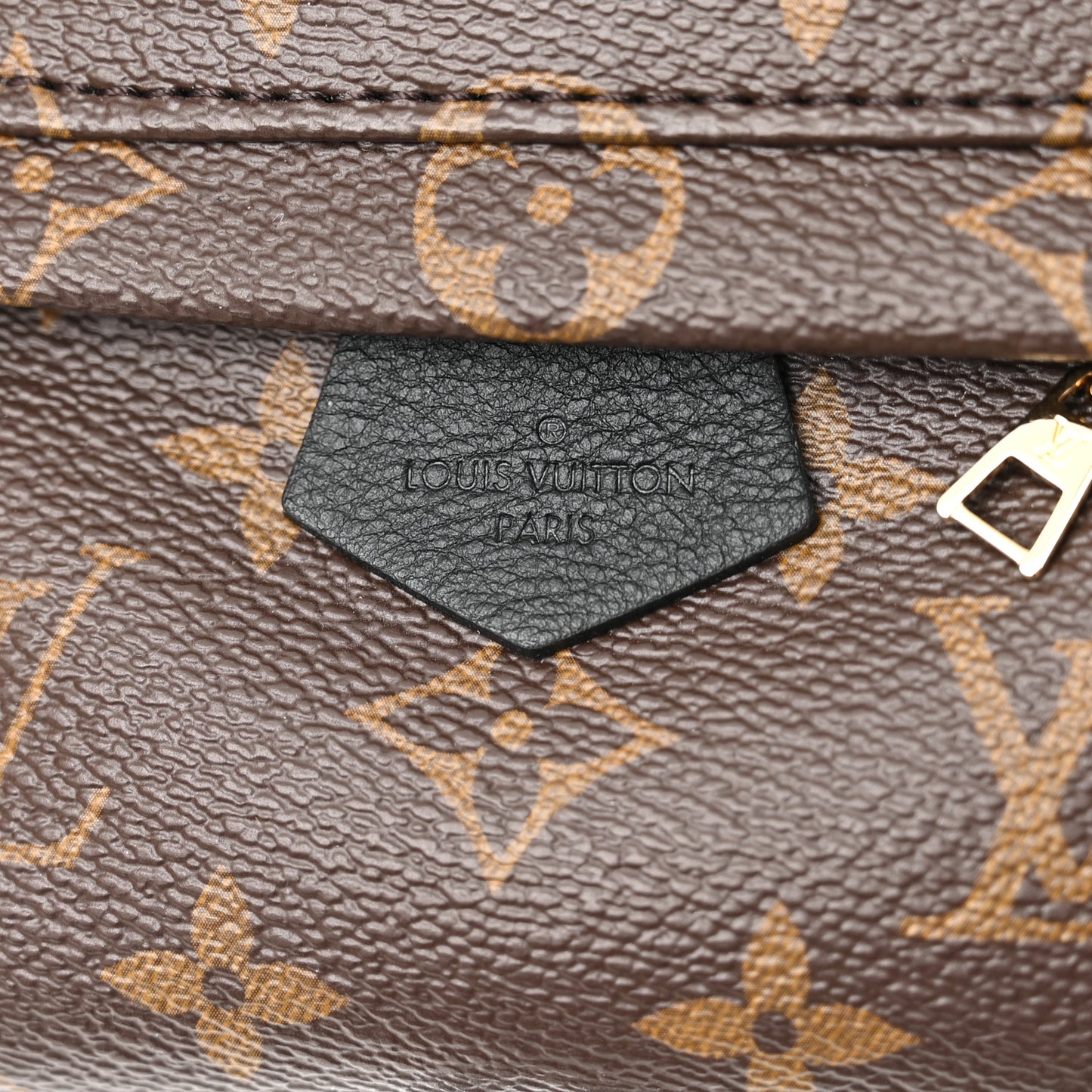 Monogram Palm Springs Backpack Mini