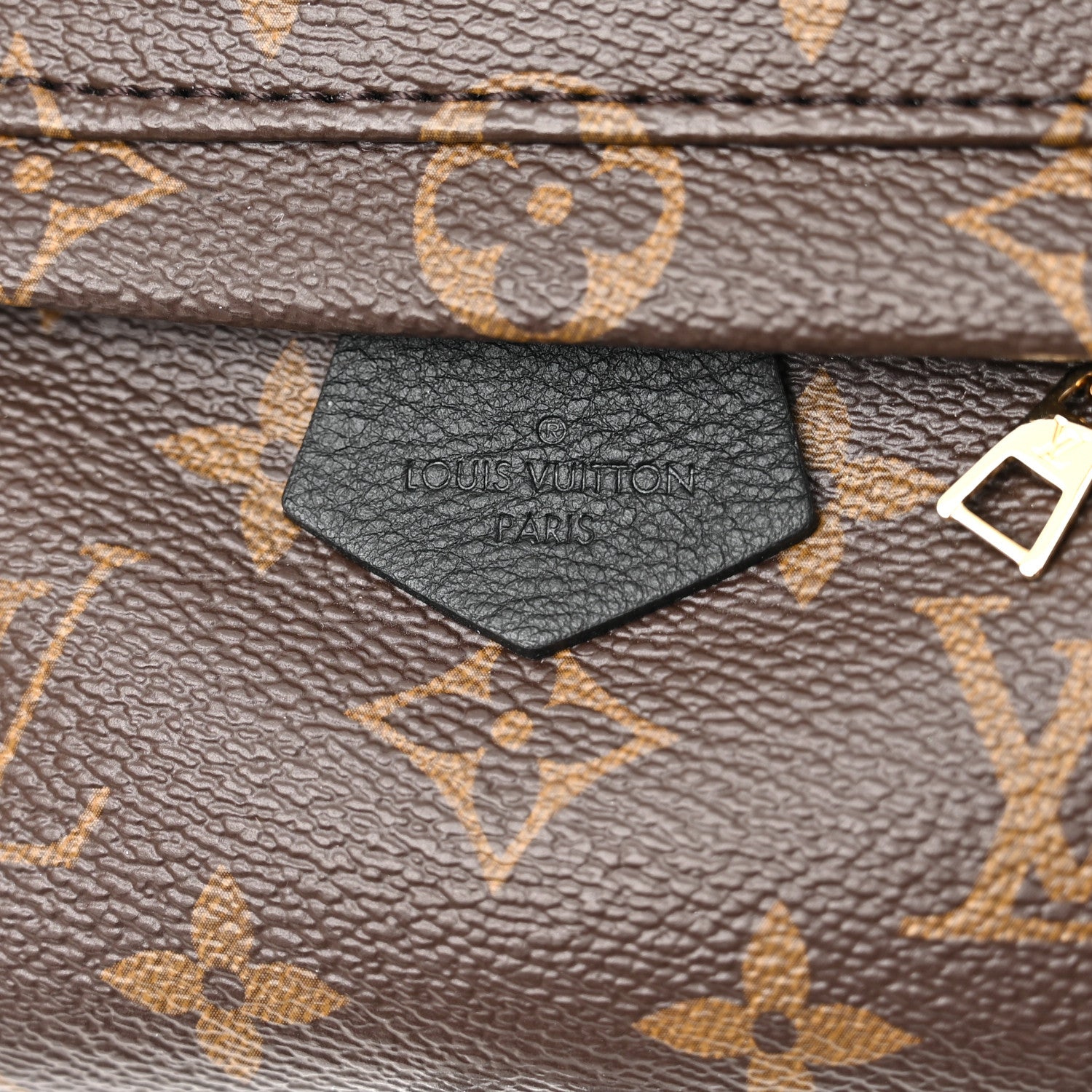 Louis Vuitton Monogram Palm Springs Backpack Mini 8 of 11