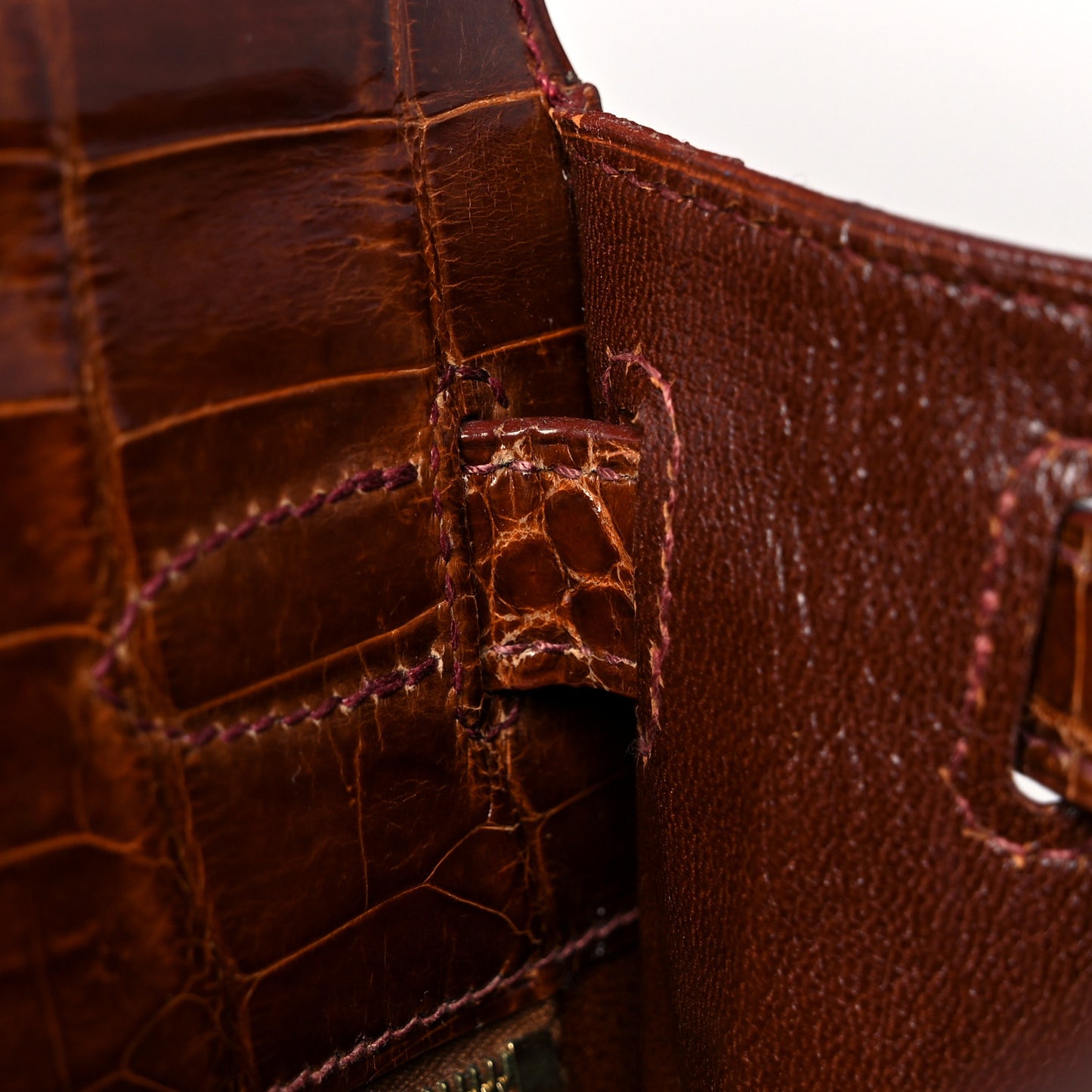 Shiny Niloticus Crocodile Kelly Sellier 28 Miel