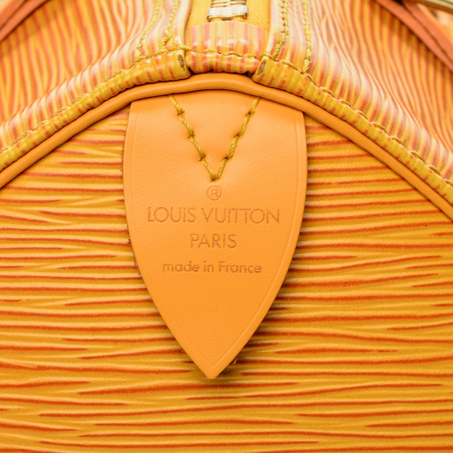Louis Vuitton Epi Speedy 25 Tassil 6 of 6