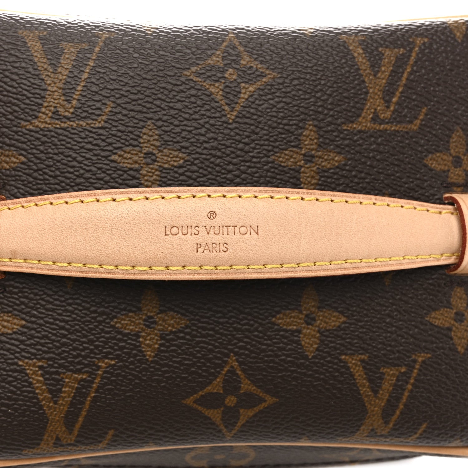 Louis Vuitton Monogram Nice Mini 8 of 10