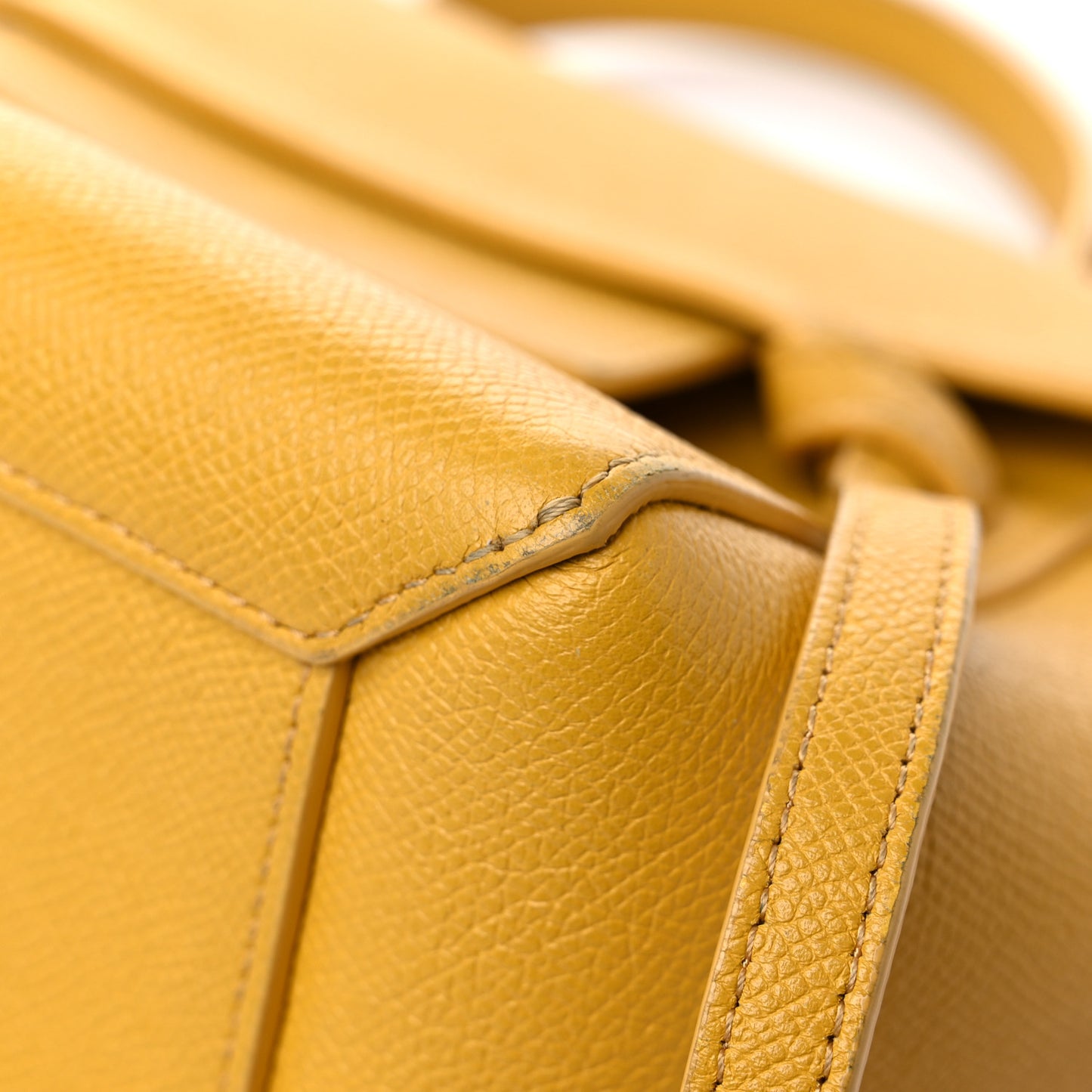 Grained Calfskin Nano Belt Bag Calendula