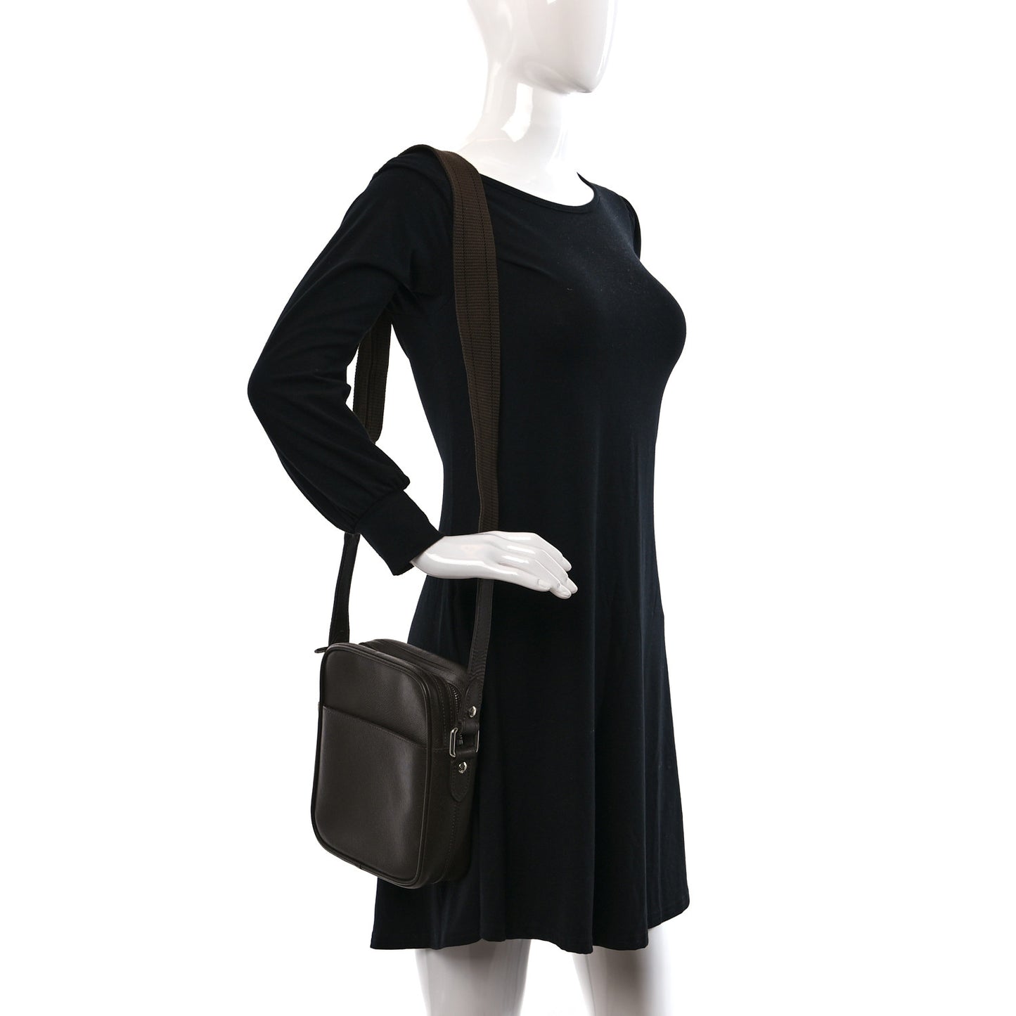 Taiga Dimitri Grizzli