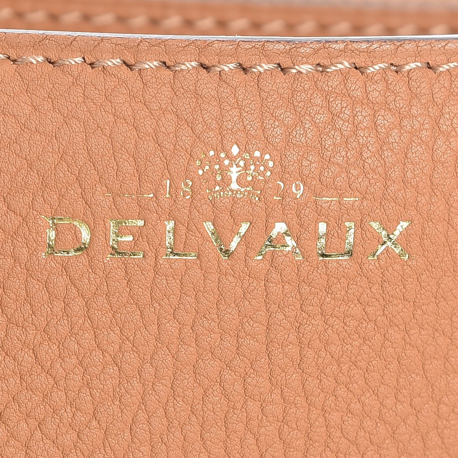 Delvaux Crispy Calfskin Le Mutin Saddle Bag Vegetal 6 of 18