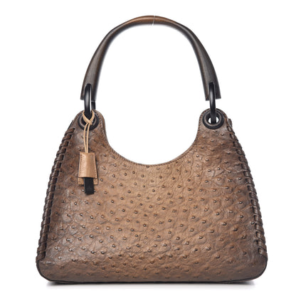 Gucci Ostrich Whipstitch Wooden Handle Small Hobo Brown 1 of 9