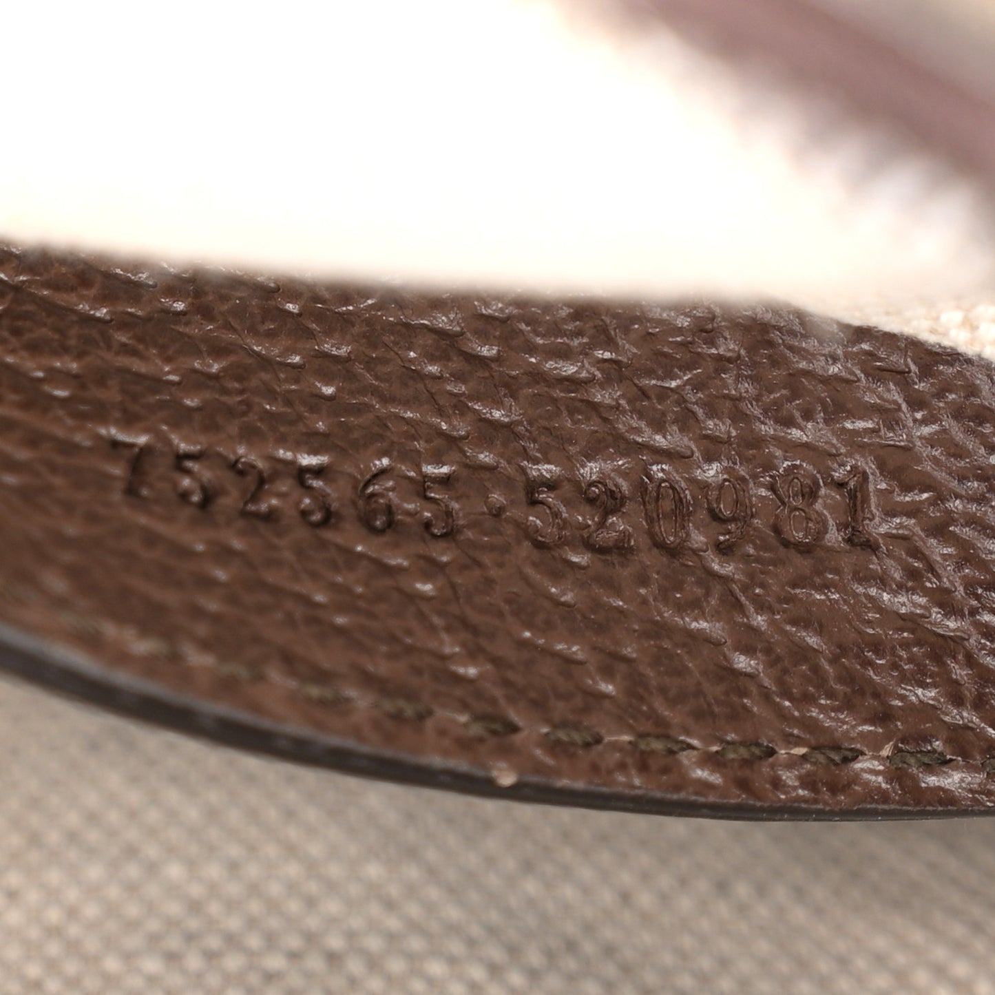 GG Supreme Monogram Web Mini Ophidia Messenger Brown