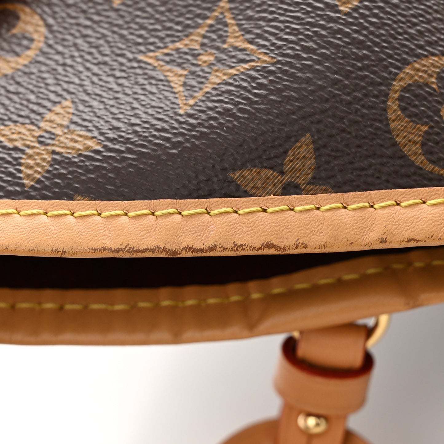 Monogram CarryAll MM