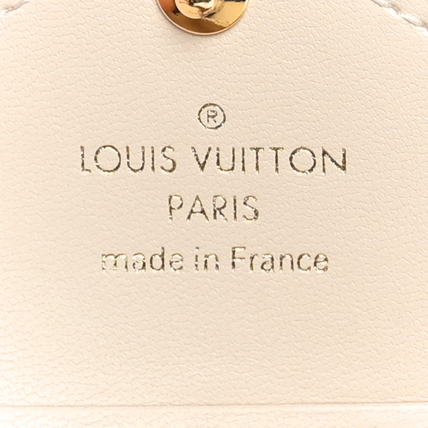 Monogram By The Pool Small Kirigami Pochette Insert Brume