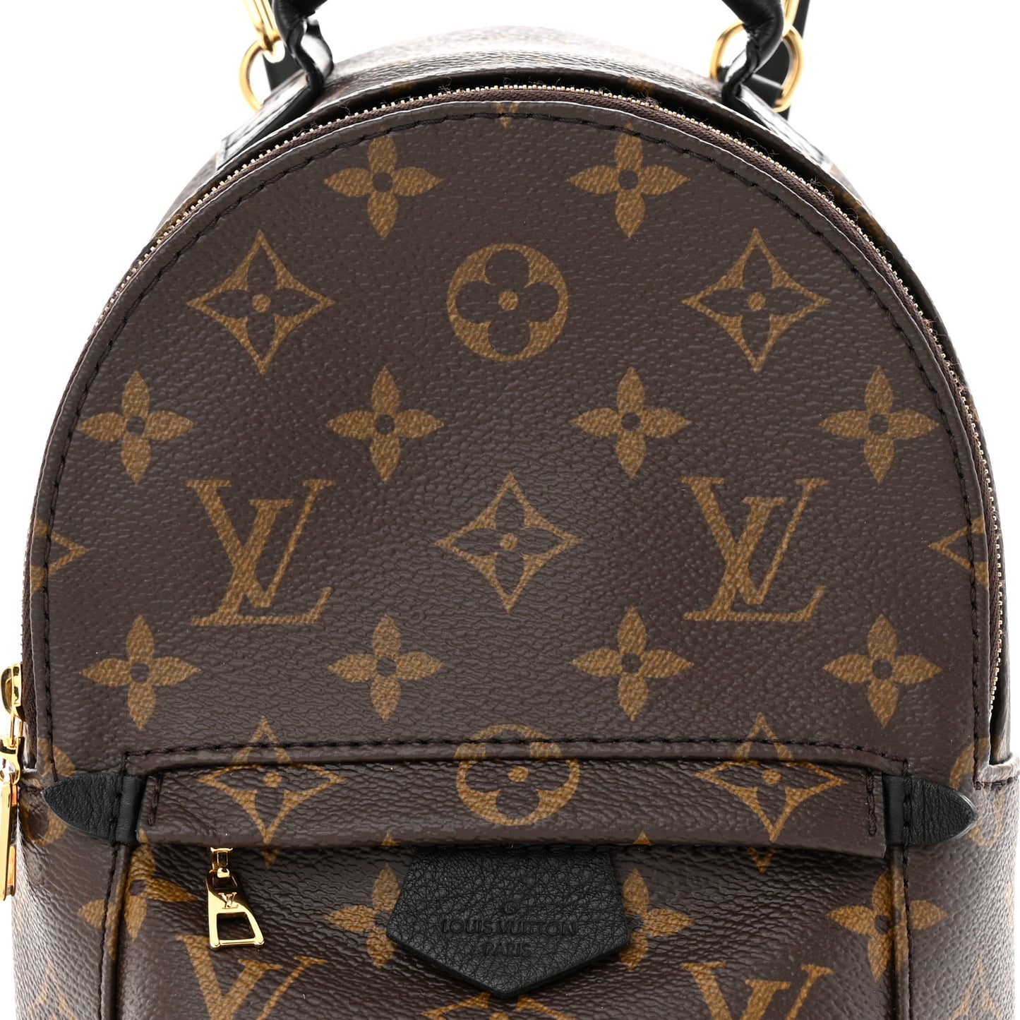 Monogram Palm Springs Backpack Mini