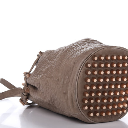 Alexander Wang Pebbled Lambskin Diego Bucket Bag Latte 6 of 16