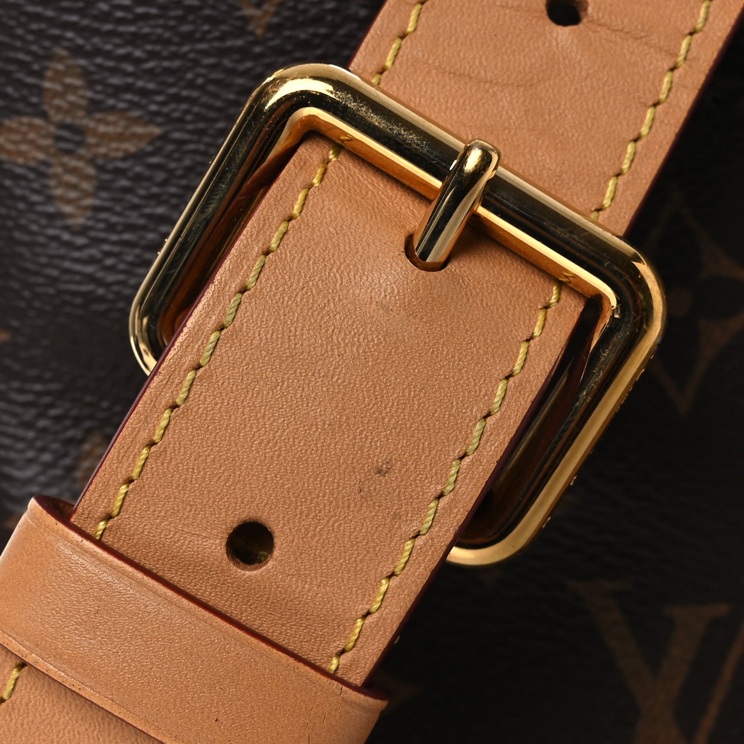 Louis Vuitton Monogram Odeon PM Natural 11 of 14