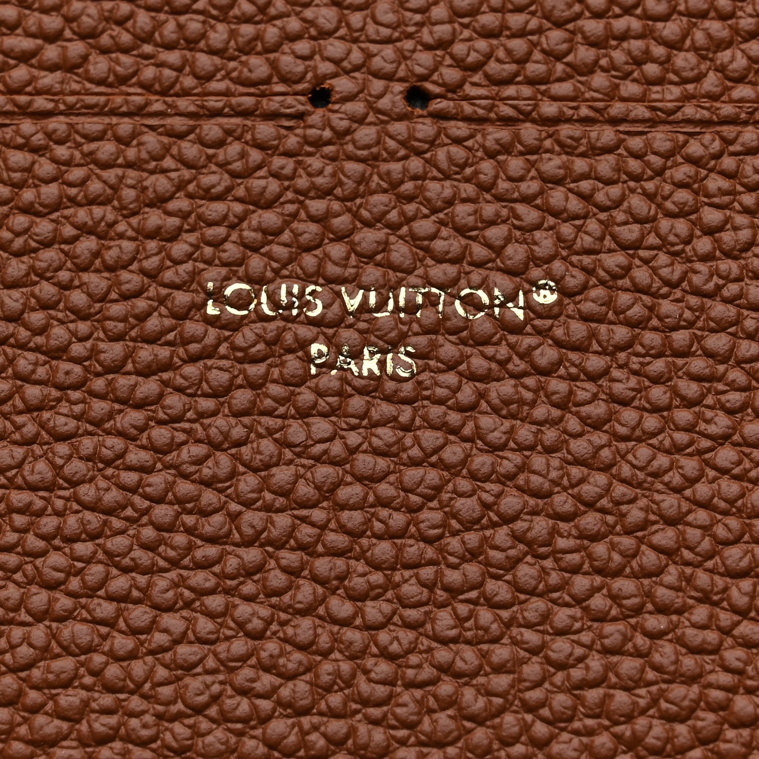 Louis Vuitton Calfskin Felicie Chain Wallet Card Holder Insert Cognac 6 of 7