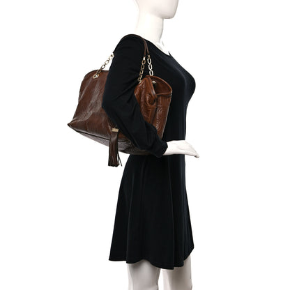 Louis Vuitton Monogram Paris Souple Whisper PM Chocolate 2 of 16