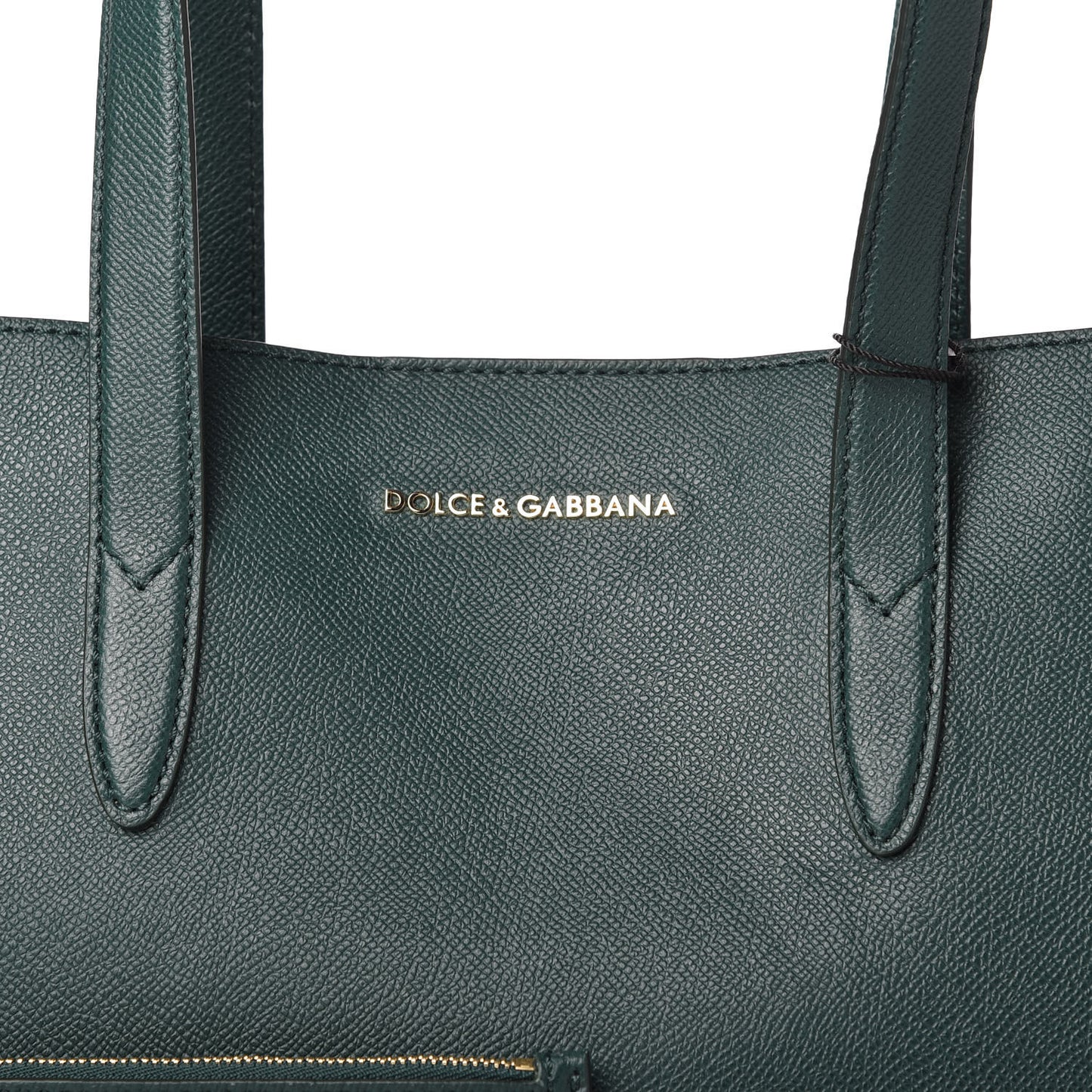 Dauphine Stampa Morrbida Shopping Tote Lake